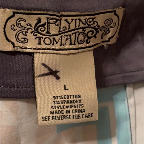 ANTHROPOLOGIE FLYING TOMATO KALEIDOSCOPE SHORTS - Picture 6 of 7